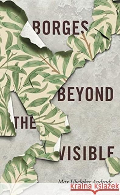 Borges Beyond the Visible Max Ubelake 9780271083544 Penn State University Press