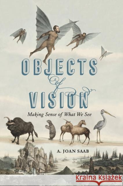 Objects of Vision Saab, Joan 9780271088105