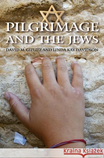 Pilgrimage and the Jews David M. Gitlitz Linda Kay Davidson 9780275987633