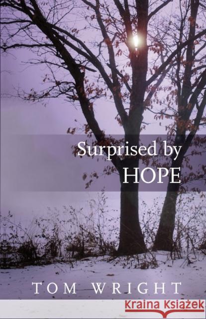 Surprised by Hope: Rethinking heaven, the resurrection and the mission of the Church Tom Wright 9780281064779 SPCK Publishing