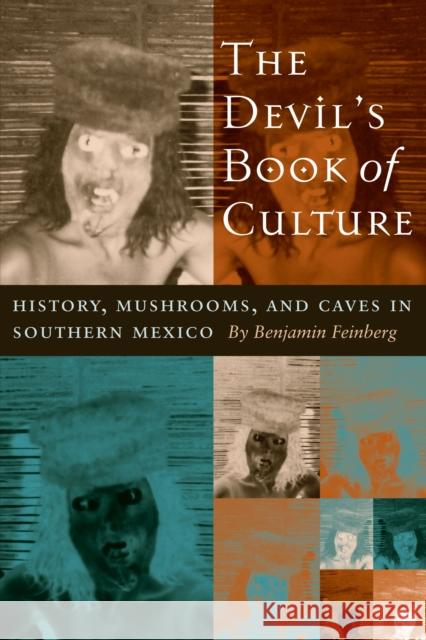 The Devil's Book of Culture: History, Mushrooms, and Caves in Southern Mexico Feinberg, Benjamin 9780292701908