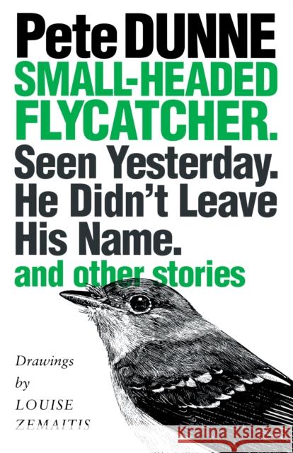 Small-Headed Flycatcher. Seen Yesterday. He Didn't Leave His Name.: And Other Stories Dunne, Pete 9780292716001