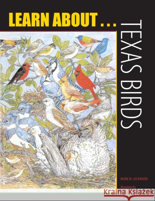 Learn About... Texas Birds: A Learning and Activity Book Mark W. Lockwood Elena T. Ivy 9780292716858