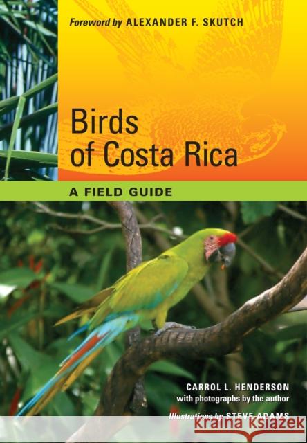 Birds of Costa Rica: A Field Guide Henderson, Carrol L. 9780292719651 University of Texas Press