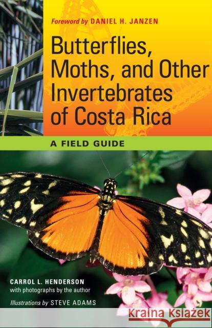 Butterflies, Moths, and Other Invertebrates of Costa Rica: A Field Guide Henderson, Carrol L. 9780292719668 University of Texas Press