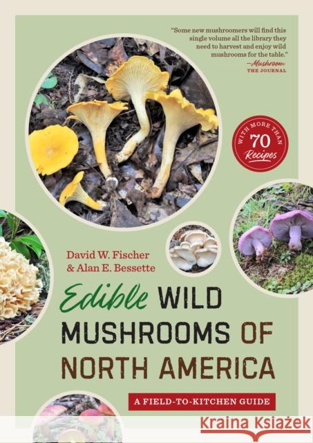 Edible Wild Mushrooms of North America : A Field-to-kitchen Guide David W. Fischer Alan E. Bessette R. McKenna Brown 9780292720800 University of Texas Press