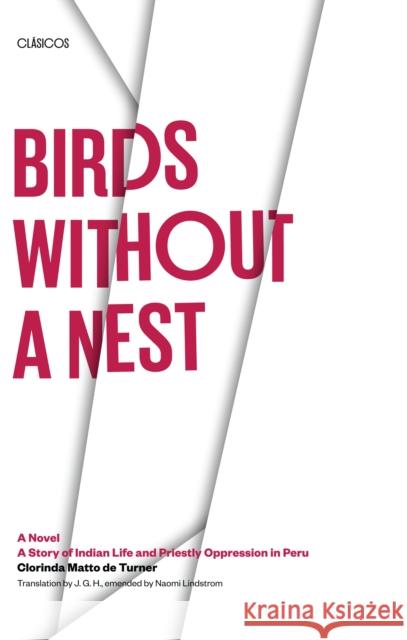 Birds without a Nest: A Novel: A Story of Indian Life and Priestly Oppression in Peru Matto De Turner, Clorinda 9780292751958