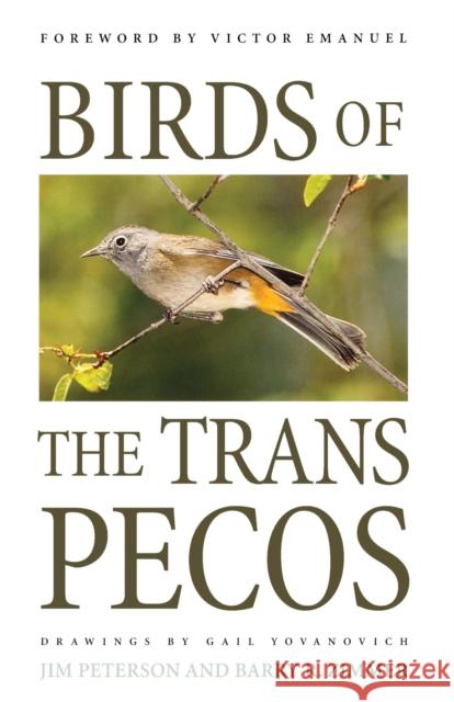 Birds of the Trans-Pecos Jim Peterson Barry R. Zimmer Gail Diane Yovanovich 9780292765849 University of Texas Press