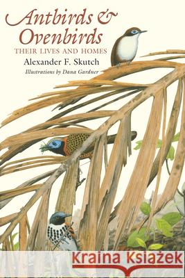 Antbirds and Ovenbirds: Their Lives and Homes Alexander F. Skutch Dana Gardner David Snow 9780292777057