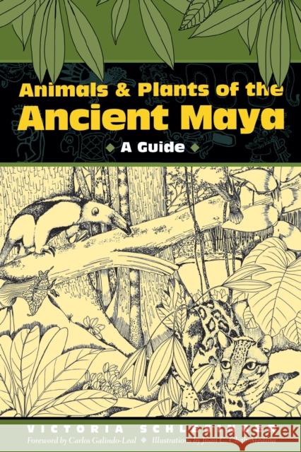 Animals and Plants of the Ancient Maya: A Guide Schlesinger, Victoria 9780292777606 University of Texas Press