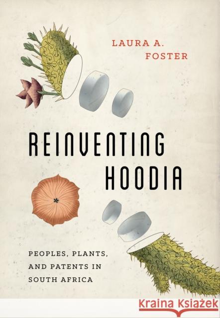 Reinventing Hoodia: Peoples, Plants, and Patents in South Africa Laura A. Foster 9780295742175 University of Washington Press