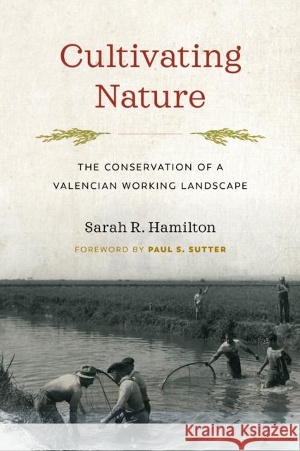 Cultivating Nature: The Conservation of a Valencian Working Landscape Sarah R. Hamilton 9780295743318