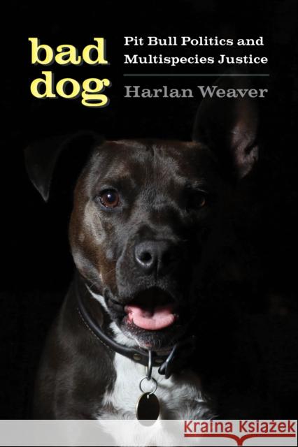 Bad Dog: Pit Bull Politics and Multispecies Justice Harlan Weaver 9780295748016 University of Washington Press