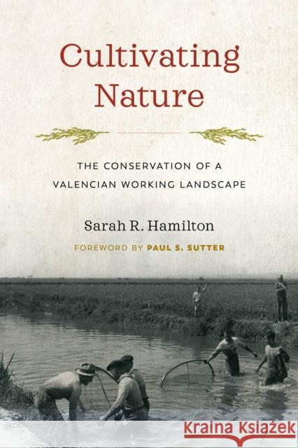 Cultivating Nature: The Conservation of a Valencian Working Landscape Sarah R. Hamilton Paul S. Sutter Paul S. Sutter 9780295748092 University of Washington Press