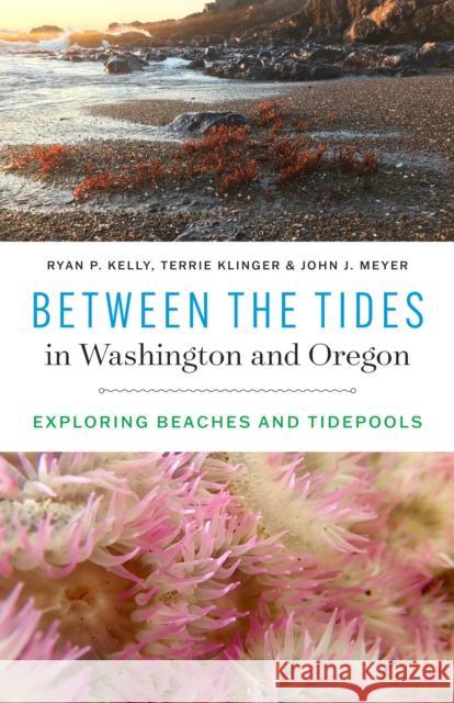 Between the Tides in Washington and Oregon: Exploring Beaches and Tidepools Ryan P. Kelly Terrie Klinger John J. Meyer 9780295749969 University of Washington Press