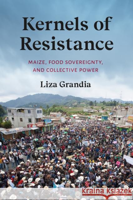 Kernels of Resistance: Maize, Food Sovereignty, and Collective Power Liza Grandia 9780295753294 University of Washington Press