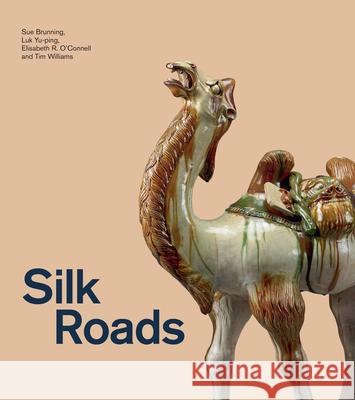 Silk Roads Sue Brunning Luk Yu-Ping Elisabeth R. O'Connell 9780295753539 University of Washington Press