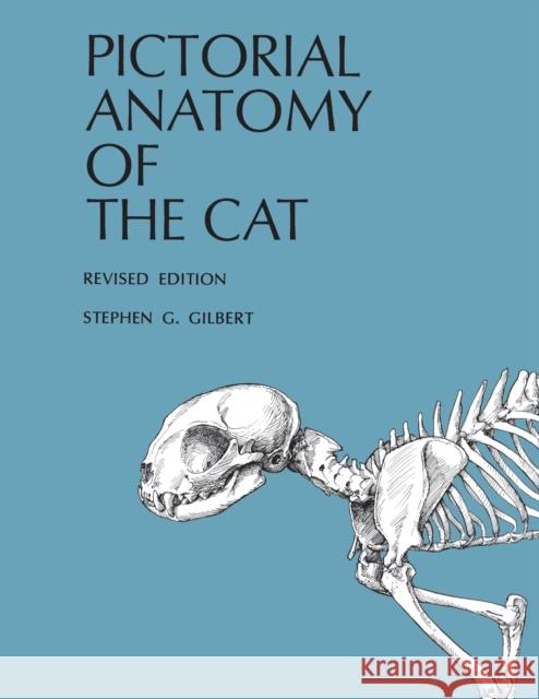 Pictorial Anatomy of the Cat Stephen G. Gilbert 9780295954547 