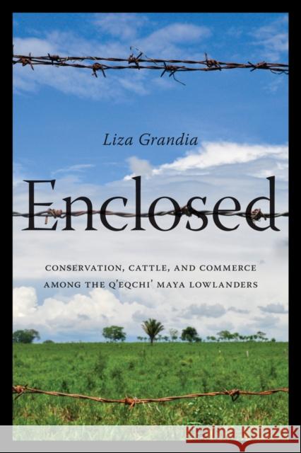 Enclosed: Conservation, Cattle, and Commerce Among the q'Eqchi' Maya Lowlanders Liza Grandia 9780295991658 University of Washington Press