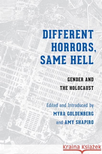 Different Horrors/Same Hell: Gender and the Holocaust Goldenberg, Myrna 9780295992433