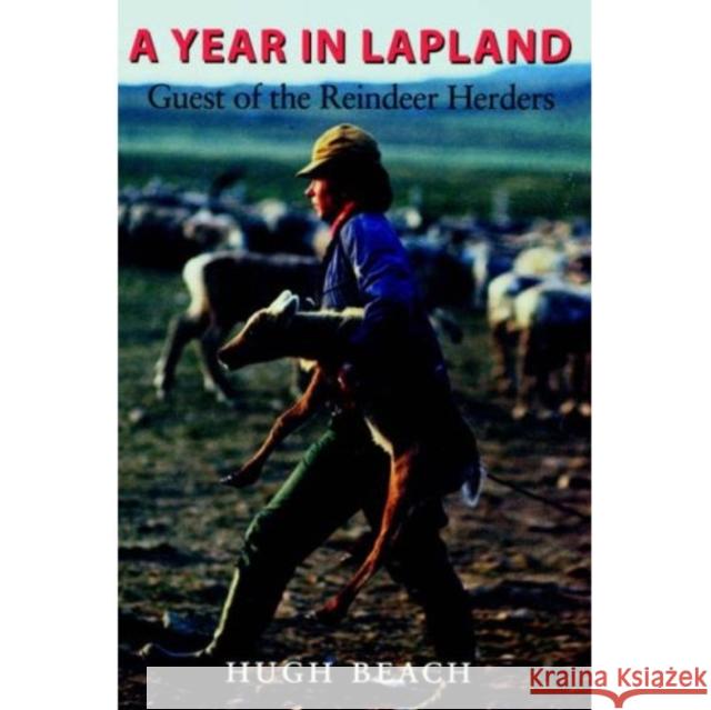 A Year in Lapland: Guest of the Reindeer Herders Hugh Beach 9780295998619