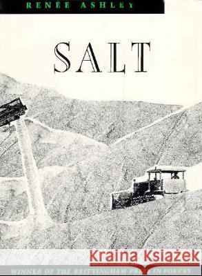 Salt, 1991 Ashley, Renee 9780299131449 University of Wisconsin Press