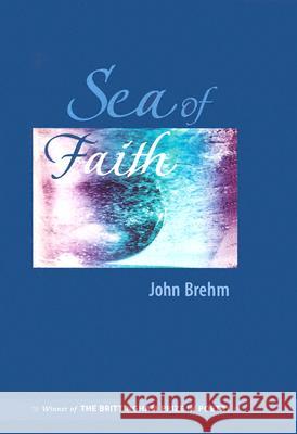 Sea of Faith John Brehm 9780299202002