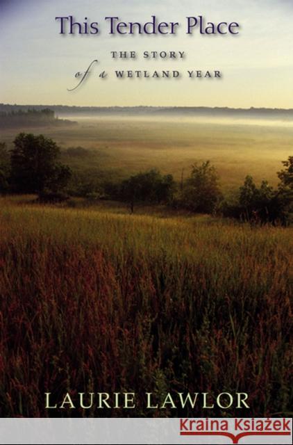 This Tender Place: The Story of a Wetland Year Lawlor, Laurie 9780299214647 Terrace Books