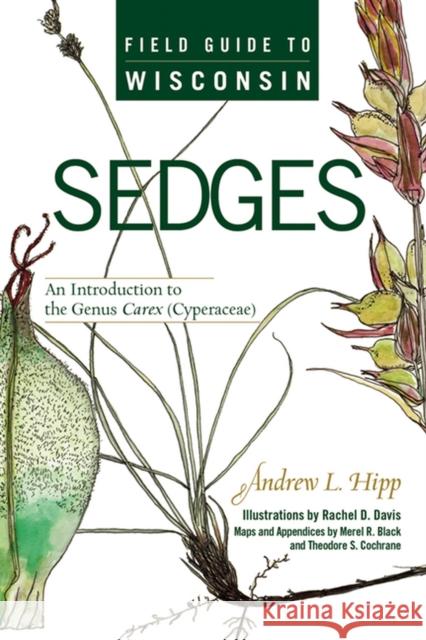 Field Guide to Wisconsin Sedges: An Introduction to the Genus Carex (Cyperaceae) Hipp, Andrew L. 9780299225940 University of Wisconsin Press