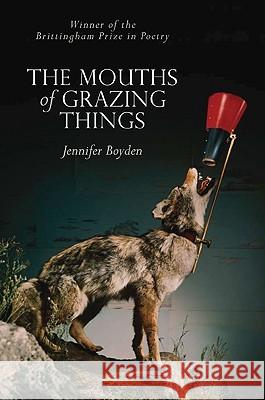 The Mouths of Grazing Things Jennifer Boyden 9780299235147 University of Wisconsin Press