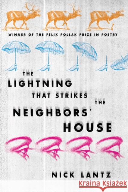 Lightning That Strikes the Neighbors' House Lantz, Nick 9780299235840 University of Wisconsin Press