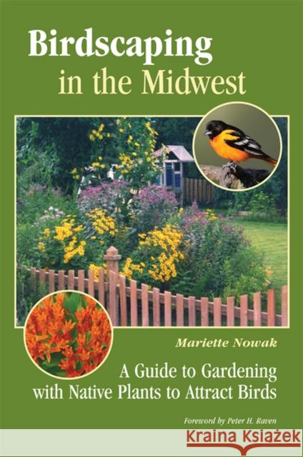 Birdscaping in the Midwest: A Guide to Gardening with Native Plants to Attract Birds Nowak, Mariette 9780299291549 University of Wisconsin Press
