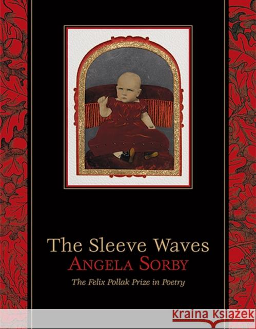 The Sleeve Waves Angela Sorby 9780299299644 University of Wisconsin Press