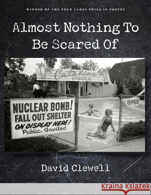 Almost Nothing to Be Scared of David Clewell 9780299307240 University of Wisconsin Press