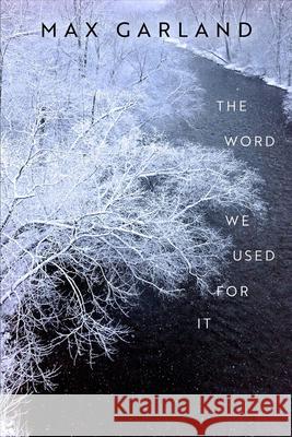 The Word We Used for It Max Garland 9780299314347 University of Wisconsin Press