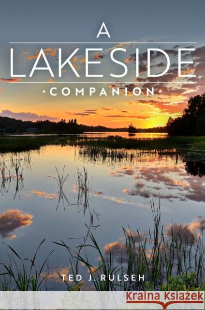 A Lakeside Companion Ted J. Rulseh 9780299320003 University of Wisconsin Press