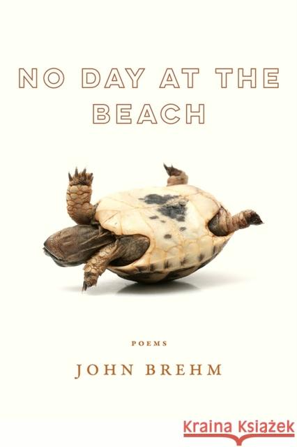 No Day at the Beach John Brehm 9780299326548 University of Wisconsin Press