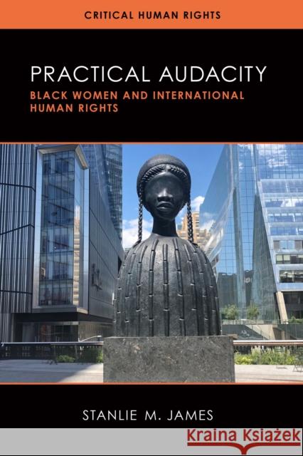 Practical Audacity: Black Women and International Human Rights Stanlie M. James 9780299333744 Eurospan (JL)