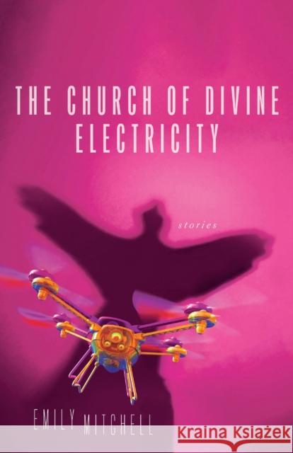 The Church of Divine Electricity Emily Mitchell 9780299354343