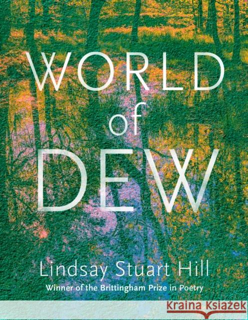 World of Dew Lindsay Stuart Hill 9780299355340