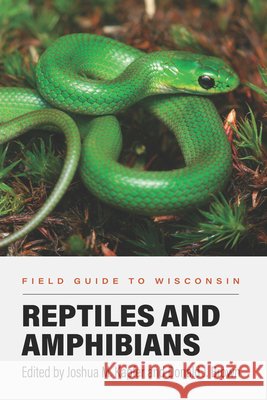Field Guide to Wisconsin Reptiles and Amphibians Kapfer, Joshua M., Brown, Donald J. 9780299358648