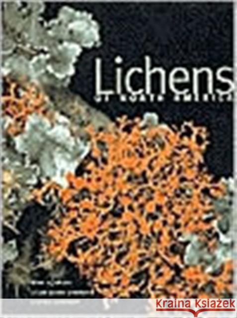 Lichens of North America Irwin M. Brodo Susan Laurie-Borque Sylvia Duran Sharnoff 9780300082494 Yale University Press