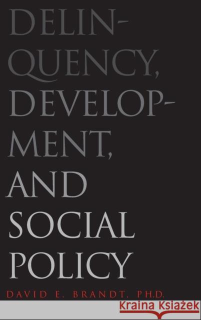 Delinquency, Development, and Social Policy David Brandt 9780300108941 Yale University Press