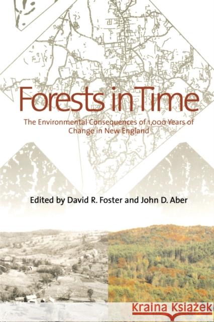 Forests in Time: The Environmental Consequences of 1,000 Years of Change in New England Foster, David R. 9780300115376 Yale University Press