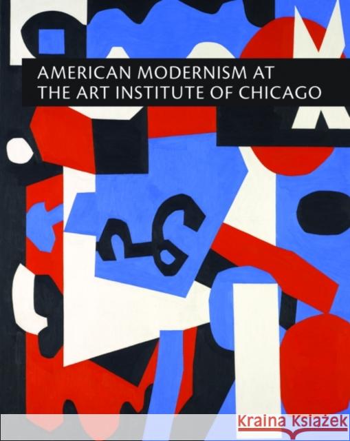 American Modernism at the Art Institute of Chicago: From World War I to 1955 Barter, Judith A. 9780300117387