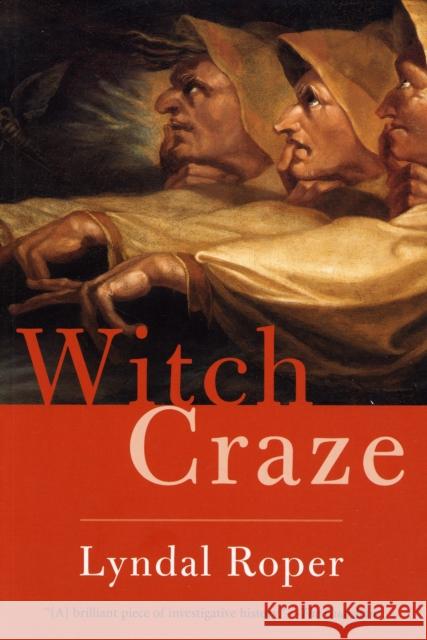 Witch Craze: Terror and Fantasy in Baroque Germany Roper, Lyndal 9780300119831 Yale University Press