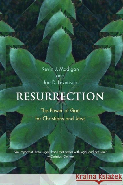 Resurrection: The Power of God for Christians and Jews Madigan, Kevin J. 9780300151374