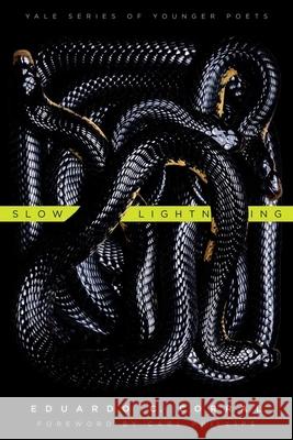 Slow Lightning, 106 Corral, Eduardo C. 9780300178937