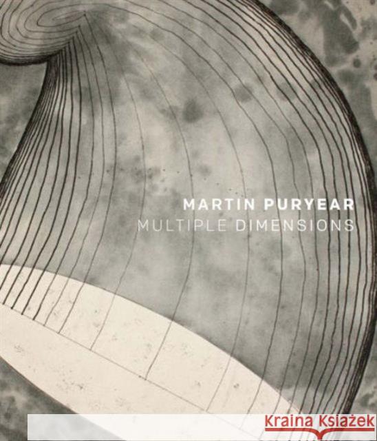 Martin Puryear: Multiple Dimensions Pascale, Mark; Fine, Ruth 9780300184549 John Wiley & Sons