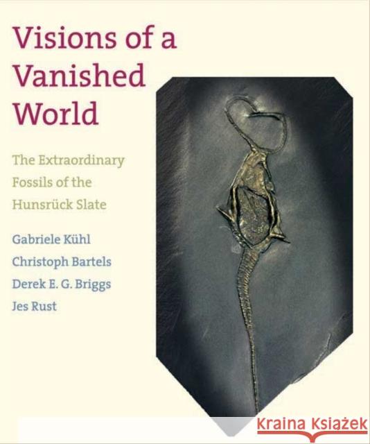 Visions of a Vanished World: The Extraordinary Fossils of the Hunsrück Slate Kühl, Gabriele 9780300184600 0